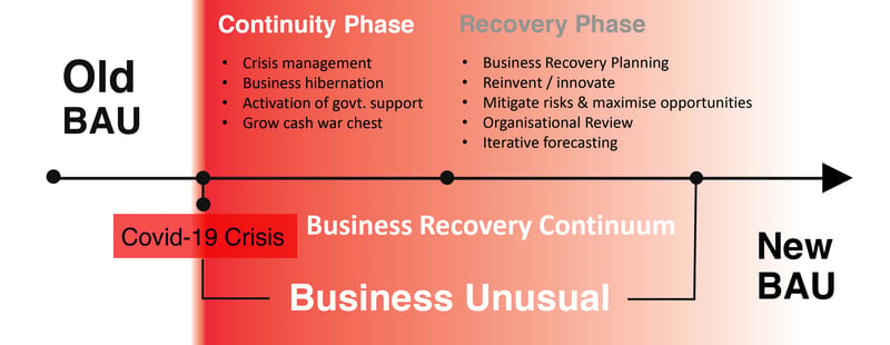 Business Recovery Continuum